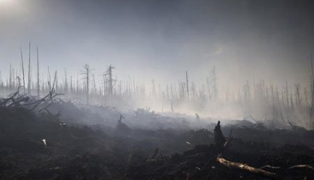 Якутск окутал дым от природных пожаров