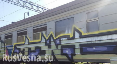Под Киевом банда подростков остановила и разгромила электричку, а пассажиров травили слезоточивым газом (ФОТО)