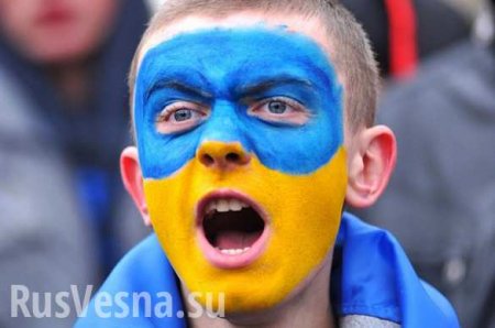 Бешенство, митинги, гепатит: Шведским болельщикам выдали жёсткие инструкции поведения на Украине