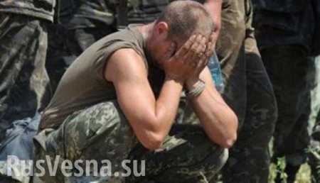 Ситуация в ВСУ плачевная, — экс-министр обороны Украины (+ВИДЕО)