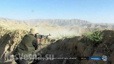 Талибы освобождают Афганистан от ИГИЛ: Россия поддерживает? (ФОТО, ВИДЕО)