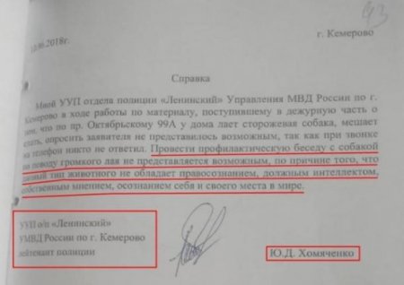 «Не обладает правосознанием»: полицейский в Кемерово отказался вести профилактическую беседу с собакой