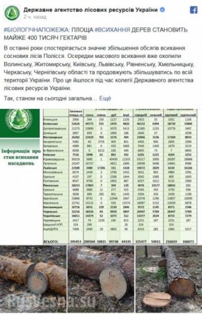 Зрада: на Украине «усохло» уже 400 тыс. гектаров леса (ФОТО, ИНФОГРАФИКА)