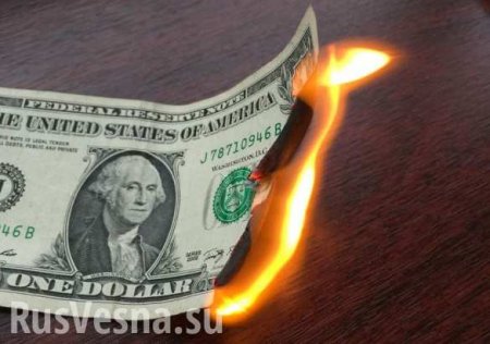 В Совфеде предложили в ответ на санкции США отказаться от доллара