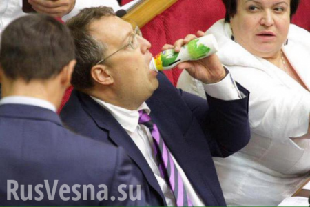 Депутат Рады объяснил, почему лозунг «слава Украине» неуместен (ВИДЕО)