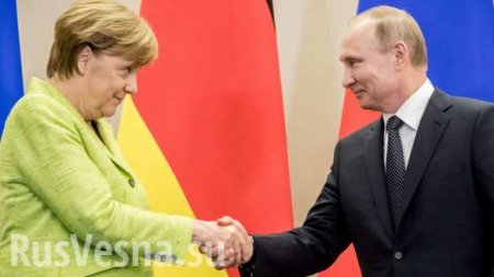 Стала известна дата встречи Путина и Меркель в Берлине