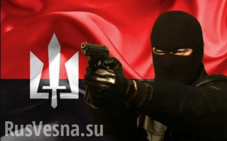 Распродажа в «Правом секторе»: неонацисты продают оружие ДНР в пику Киеву и ВСУ (ФОТО)