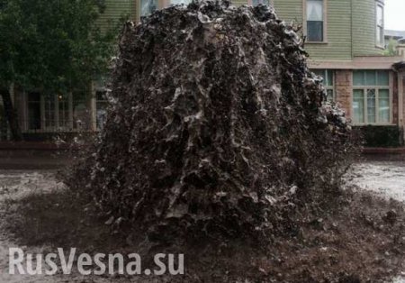 Невыносимый смрад и реки фекалий: украинскому городу угрожает экологическая катастрофа (ВИДЕО)