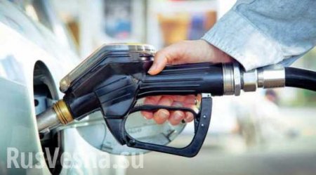 ФАС не ждет нового роста цен на бензин