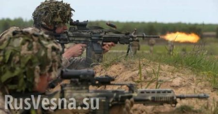 Жителям Латвии в случае войны предложили «защищать себя самостоятельно»