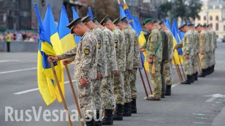 Зачем советник Трампа принимал парад в Киеве (ВИДЕО)