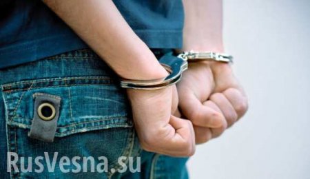 В Петербурге арестовали подростков, жестоко избивавших прохожих