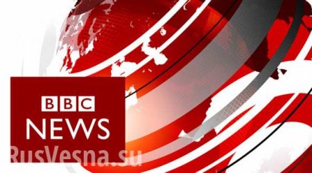 «Лидер повстанцев»: Журналисты ВВС ударили в спину украинским «патриотам»