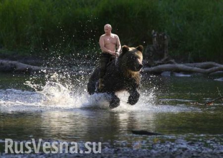 Отдых Путина в Туве: Медведи вели себя прилично