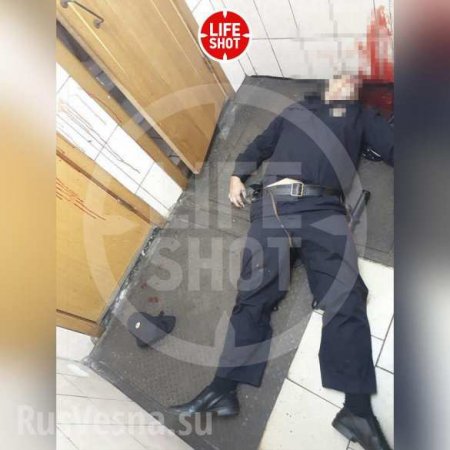 Убийство полицейского в московском метро — подробности (ВИДЕО, ФОТО 18+)