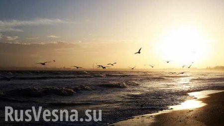 В Одессе море покрылось маслянистой плёнкой (ФОТО, ВИДЕО)