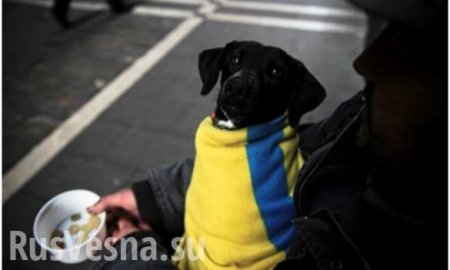 На Украине вырос уровень бедности