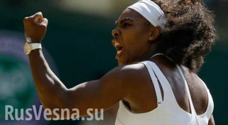 Скандал в мировом теннисе: чешская теннисистка назвала команду сестёр Уильямс «собачьей сворой» (ВИДЕО)