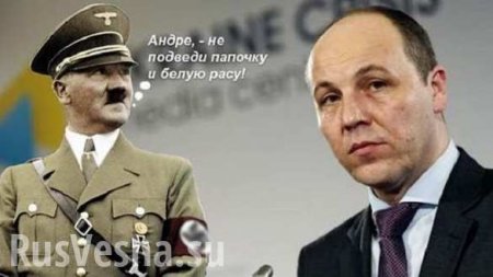 Зрада: МИД Франции осудил слова спикера Рады о Гитлере