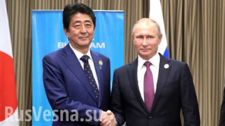 Путин и премьер Японии говорили с глазу на глаз во время турнира по дзюдо, — СМИ (+ФОТО)