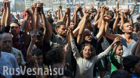«Мы здесь власть»: мигранты требуют отставки главы МВД Германии