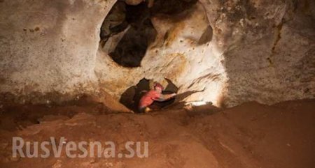 Саблезубый кот Таврик и семья мамонтов: учёные рассказали об уникальных находках в крымской пещере (ФОТО)