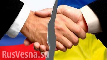 «Не надо спешить», — украинский генерал заявил об опасности разрыва договора о дружбе с Россией