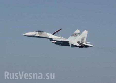 Истребитель ВКС РФ перехватил украинский военный самолёт над Чёрным морем (ФОТО)