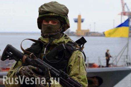 Скандал: Украинский ведущий приравнял «ветеранов АТО» к убийцам (ДОКУМЕНТ, ВИДЕО)