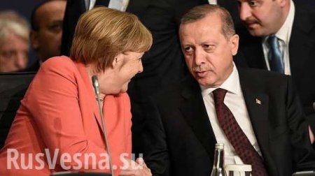 Эрдоган: Мы с Меркель поспорили с Трампом из-за российского газа на саммите НАТО