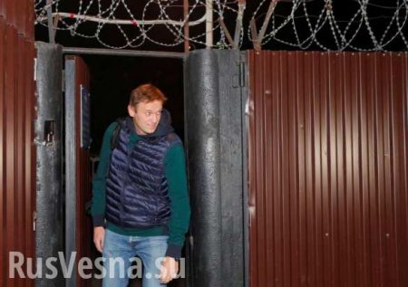 Навальный вышел из спецприёмника (ФОТО, ВИДЕО)