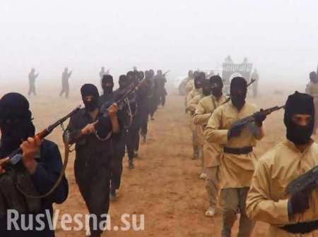 Сирия: Террористы ИГИЛ захватили в плен около 700 человек