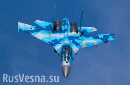 В Госдуме прокомментировали крушение украинского Су-27