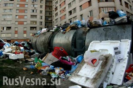 Киев на грани экологической катастрофы: город превратился в помойку