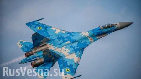 Подтверждена гибель американского лётчика в крушении Су-27 на Украине