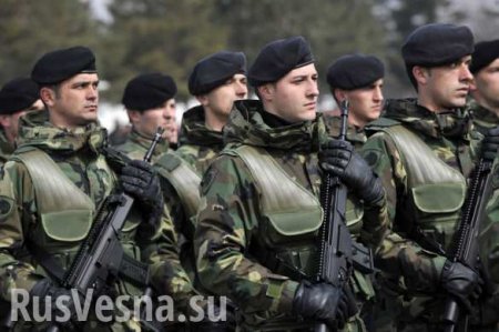 Создание армии Косово — ловушка для России, — военный эксперт