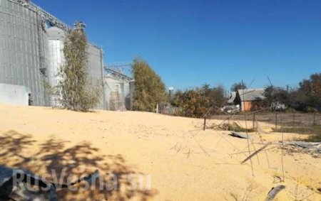 Под Сумами «взорвалось» хранилище с кукурузой (ФОТО, ВИДЕО)