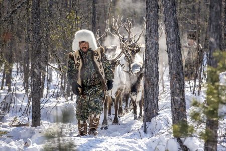 Идёт охота на волков: в Якутии люди вступили в противоборство с хищниками (ФОТО)