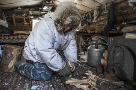 Идёт охота на волков: в Якутии люди вступили в противоборство с хищниками (ФОТО)