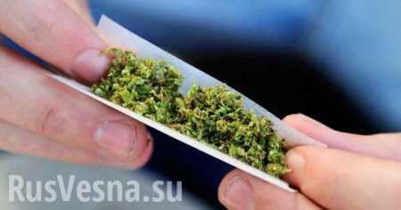 Задержан кандидат в президенты Грузии, который раздавал марихуану на фестивале