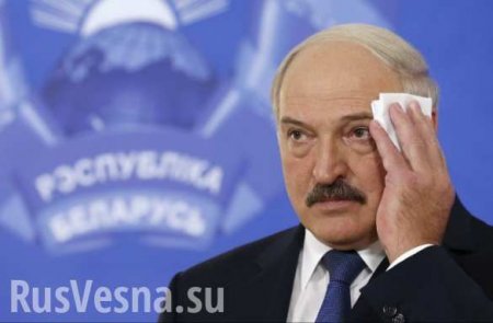 Остановившая кортеж Лукашенко девушка взорвала Сеть (ВИДЕО)