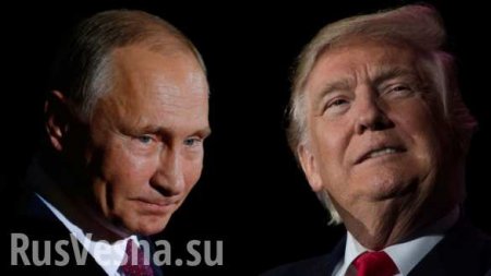 В Кремле прокомментировали информацию о подготовке встречи Путина и Трампа