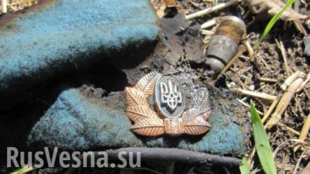 На Донбассе уничтожен один из старейших карателей (ФОТО)