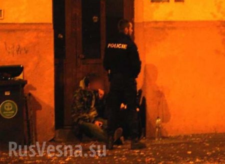 Кровавая резня в Чехии: Украинцы напали на местных жителей (+ФОТО)