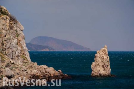 В Госдуме резко ответили на планы Украины расширить зону контроля в Чёрном море