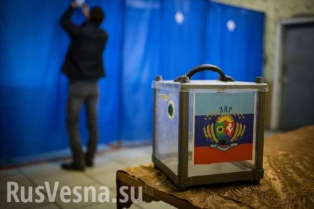 В ДНР и ЛНР открылись участки для голосования на выборах