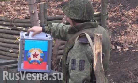 Бойцы армии ЛНР голосуют на передовой (ВИДЕО)