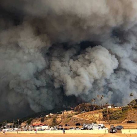 Калифорния в огне: число жертв растёт, лесные пожары уничтожают штат (ФОТО, ВИДЕО)