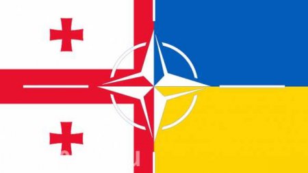 Не приняв Украину и Грузию в НАТО, мы дали Путину не тот сигнал, — экс-генсек альянса