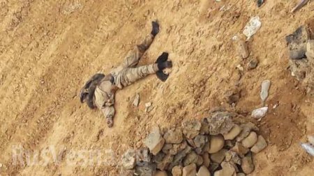 Вонь от сотен гниющих трупов: чёрная пустыня завалена телами боевиков ИГИЛ и гумпомощью ООН (ВИДЕО, ФОТО 18+)